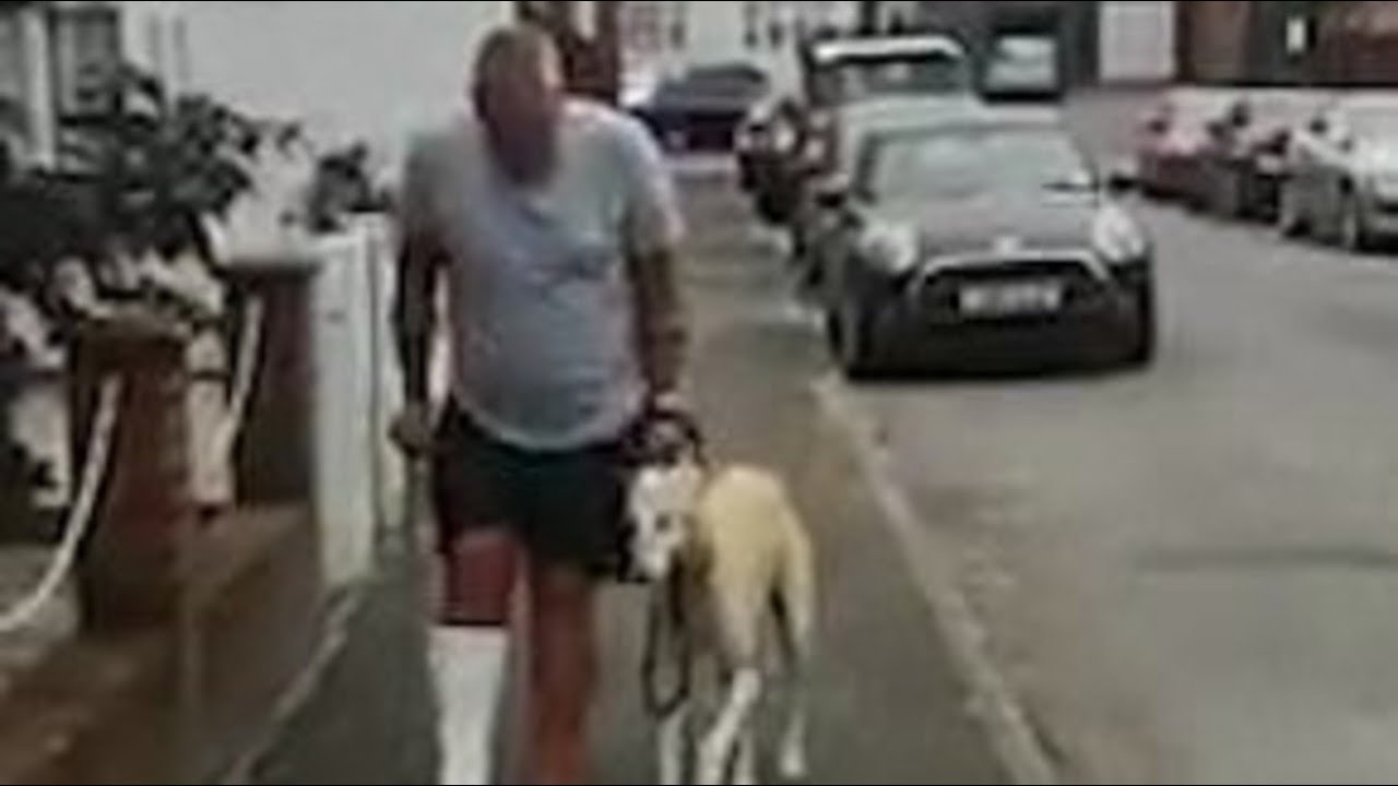 Watch this Limping dog copy his injured owner out of sympathy Watch this Limping dog copy his injured owner out of sympathy